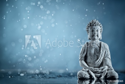 Bild på Buddha in meditation